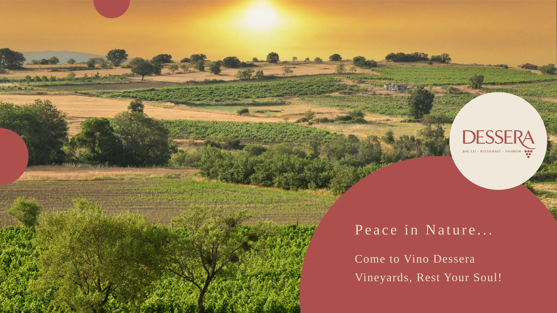 homepage2024 dogadahuzur img Dessera Vineyard House