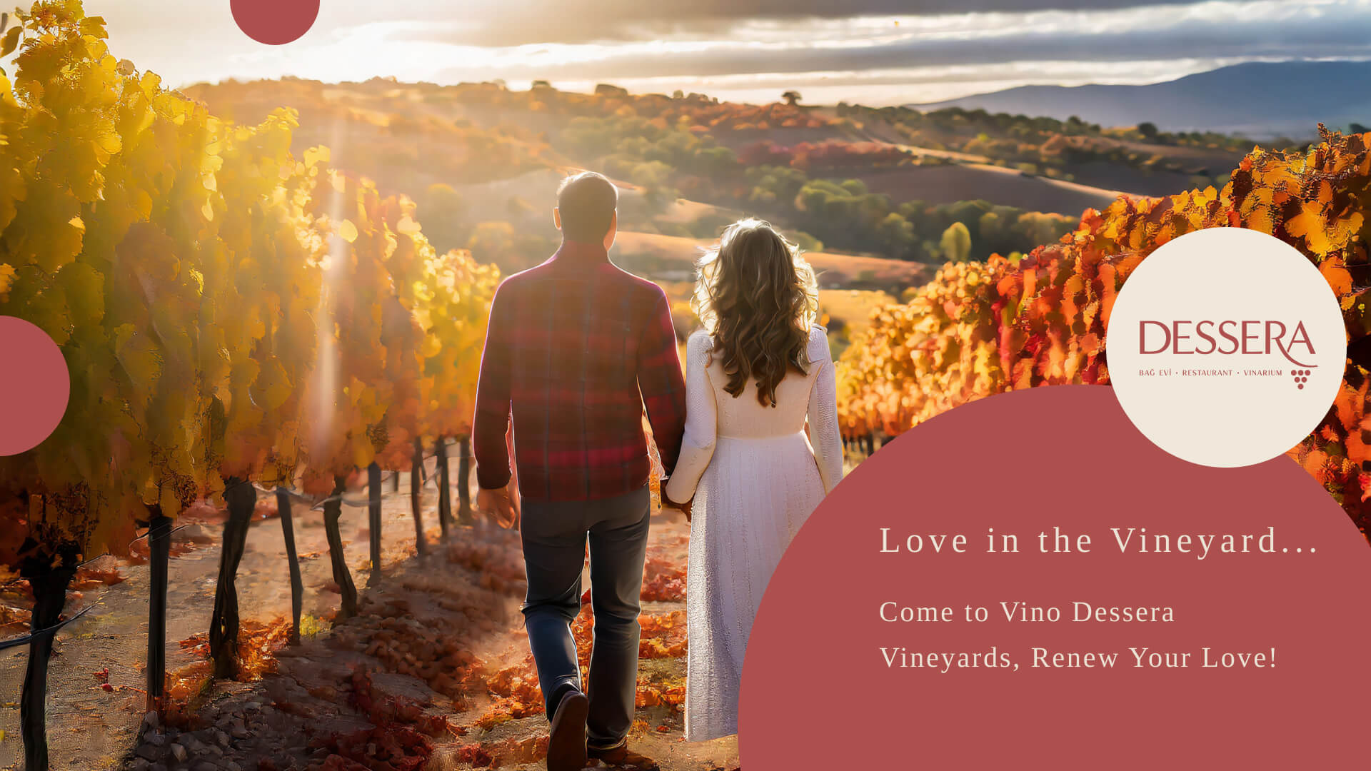 homepage newv3 slider img 3 Dessera Vineyard House