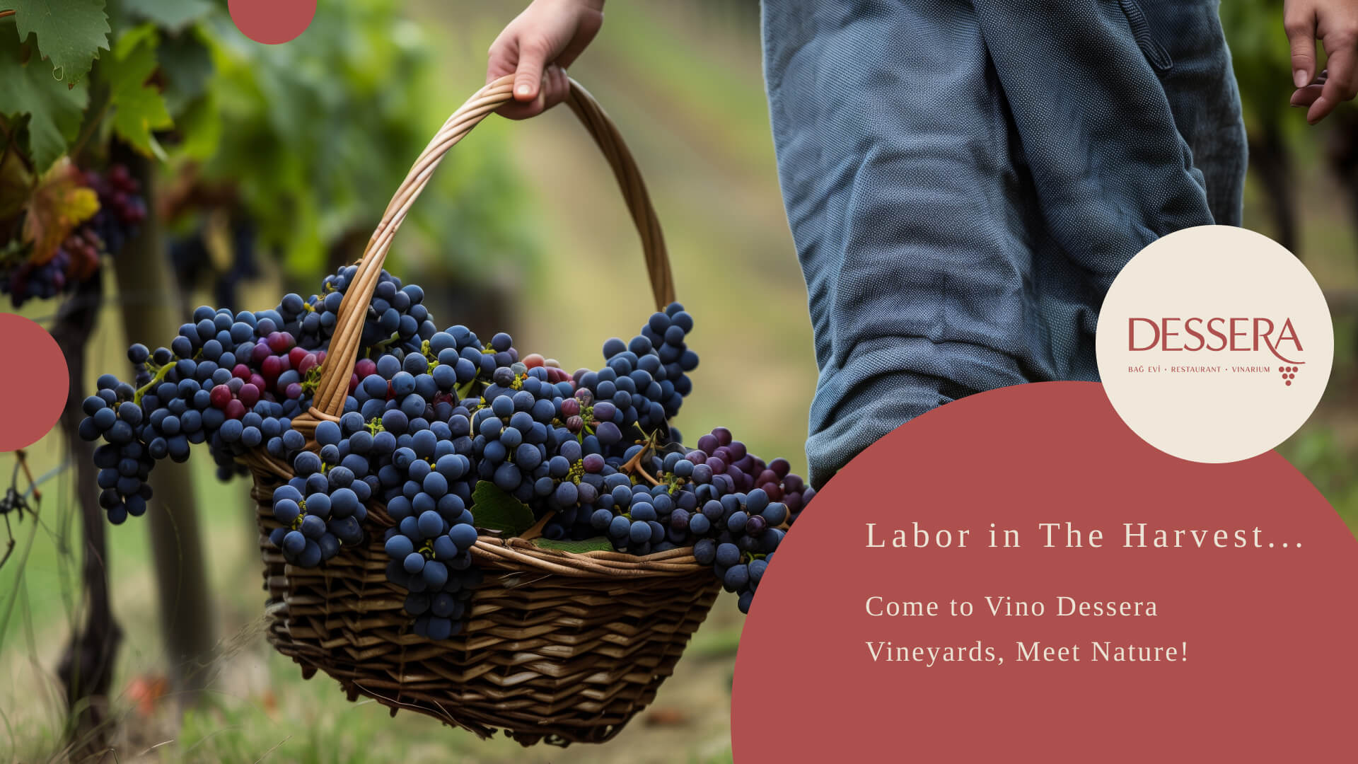 homepage newv3 slider img 5 Dessera Vineyard House